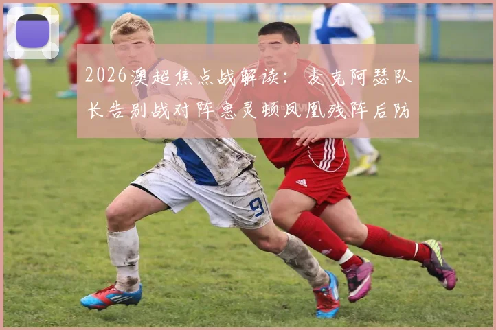 2026澳超焦点战解读：麦克阿瑟队长告别战对阵惠灵顿凤凰残阵后防，胜负手分析